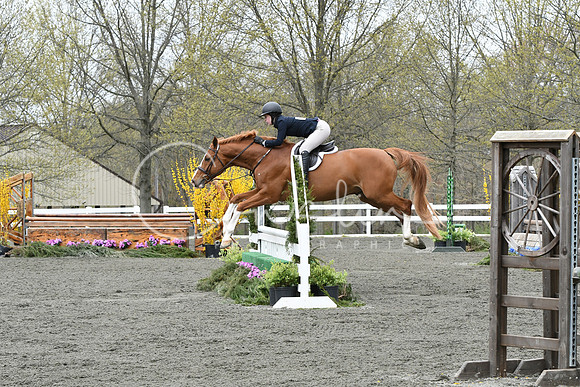 HSM_0283
