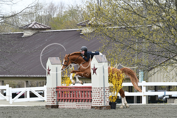 HSM_0289