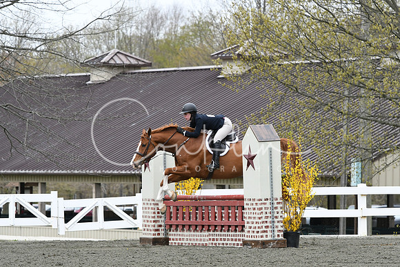 HSM_0290