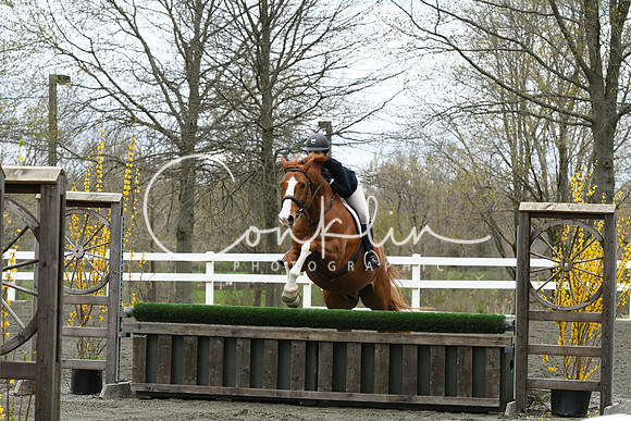 HSM_0311