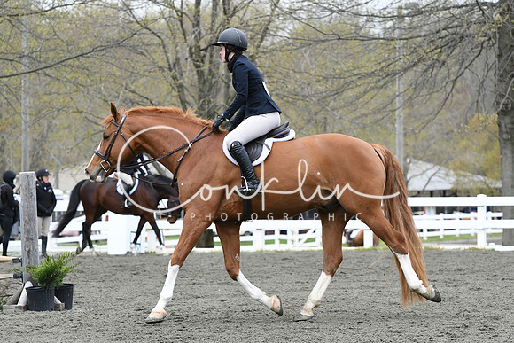 HSM_0317