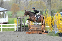 HSM_1411