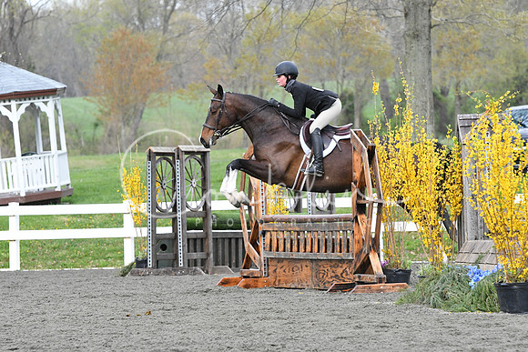 HSM_1411