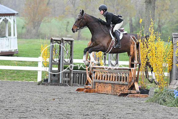 HSM_1461