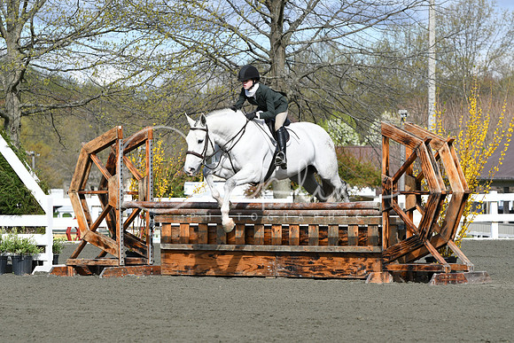 HSM_2118