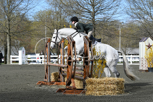 HSM_2119