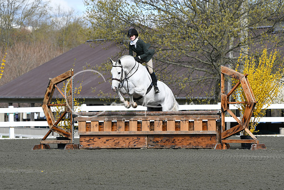 HSM_2146