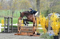 HSM_1528