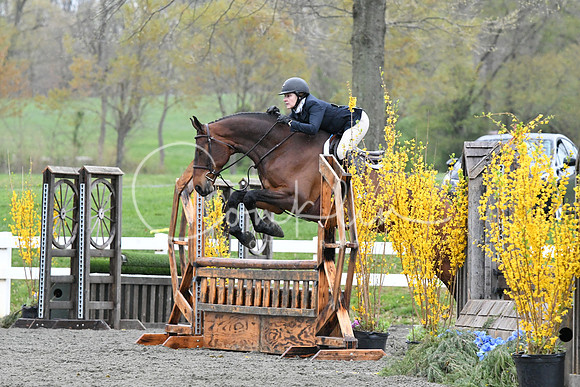 HSM_1528