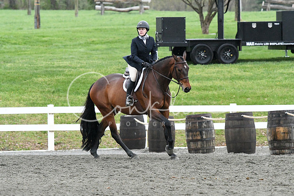 HSM_1583