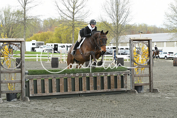 HSM_2529