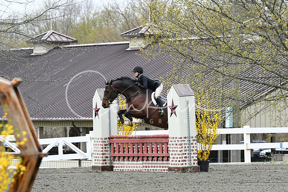 HSM_0270
