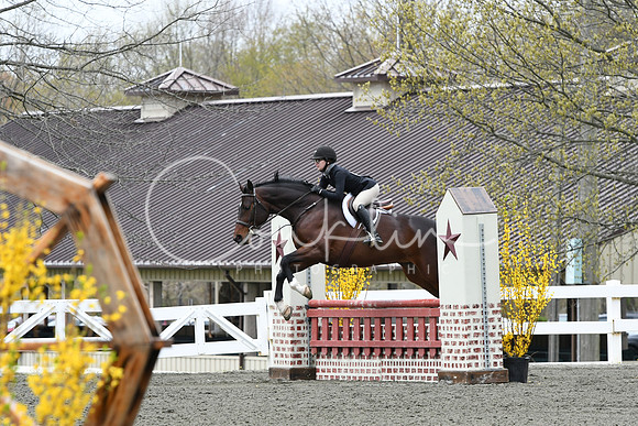 HSM_0271