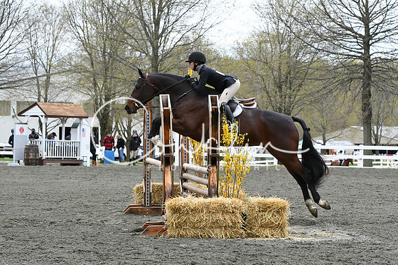 HSM_3190