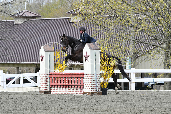 HSM_0147