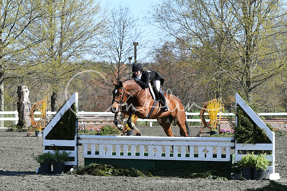 HSM_4413