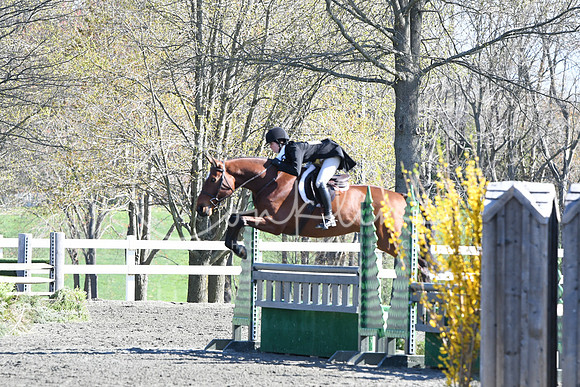 HSM_4417