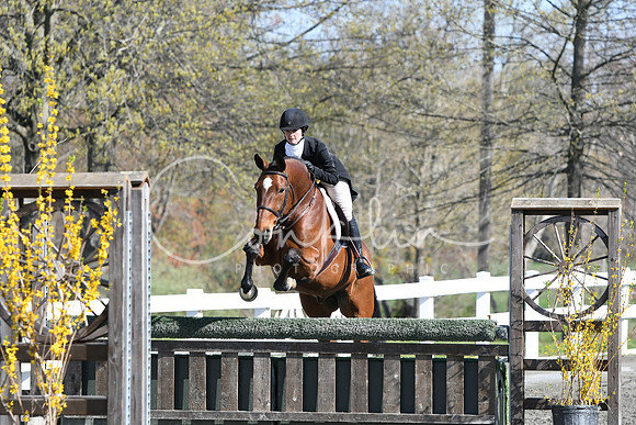 HSM_4419