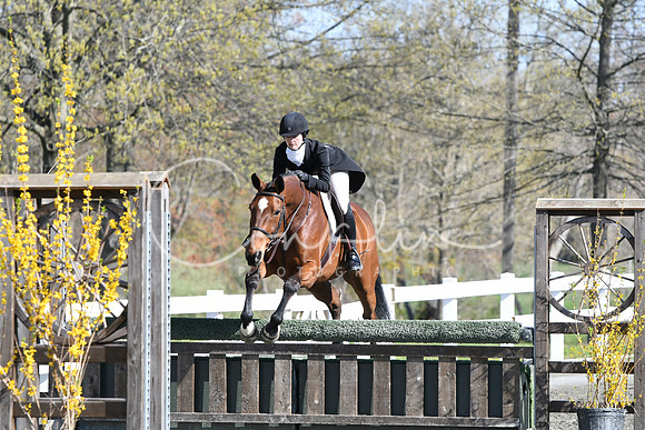 HSM_4420