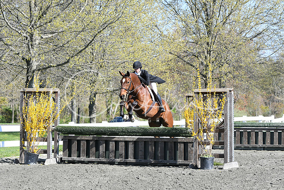 HSM_4421