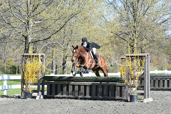 HSM_4422