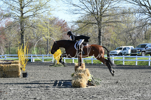 HSM_4427