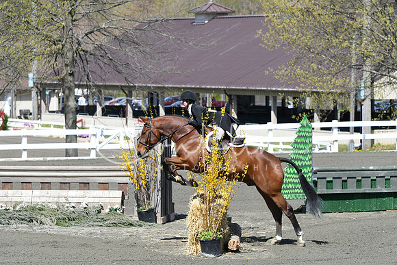 HSM_4873