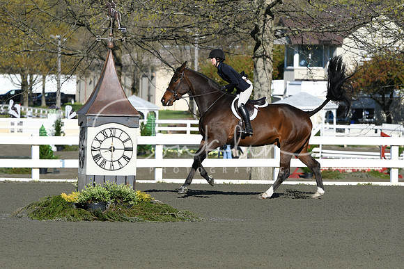 HSM_9037