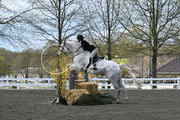 HSM_5678