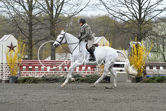 HSM_2896