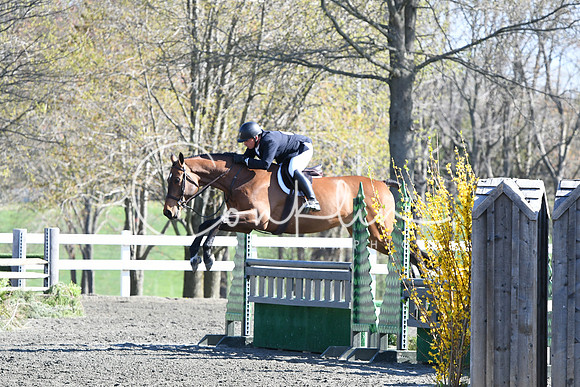 HSM_4366