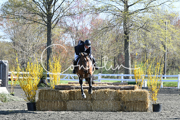 HSM_4376