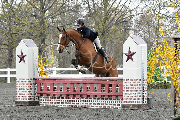 HSM_2583