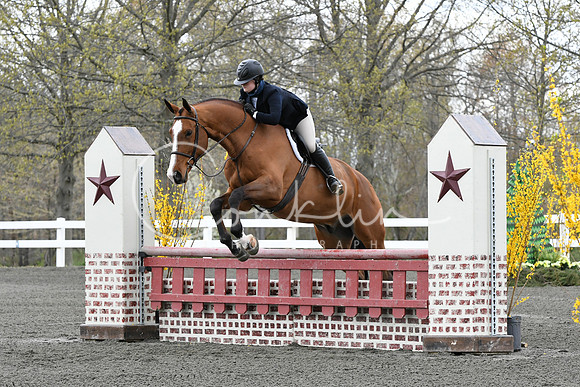HSM_2584