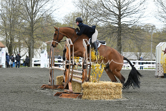 HSM_2593