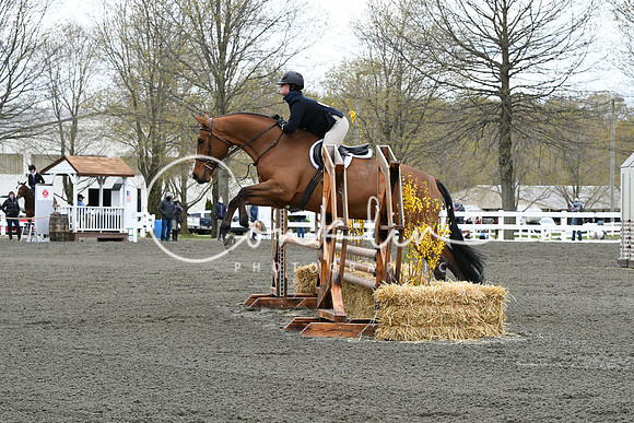 HSM_2669