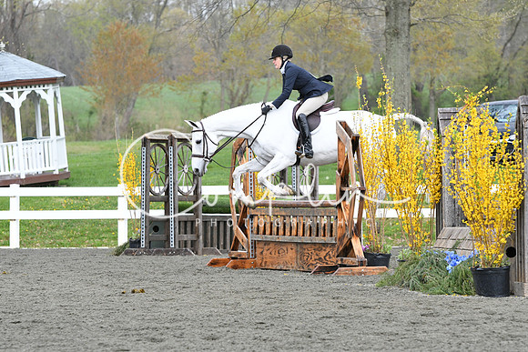 HSM_1161