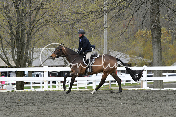 HSM_0206