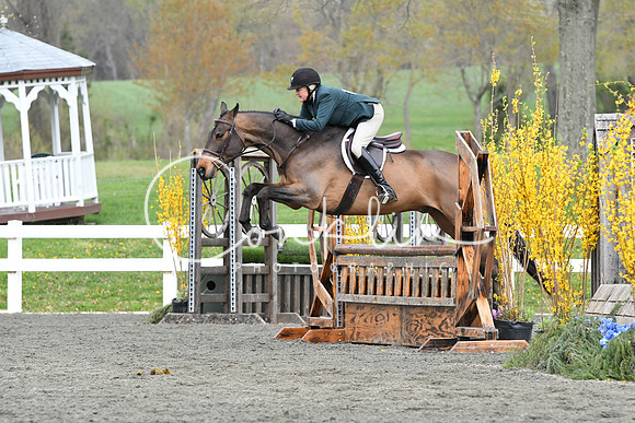 HSM_1098