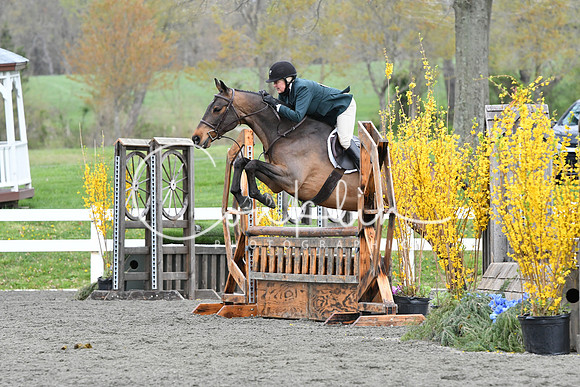 HSM_1195