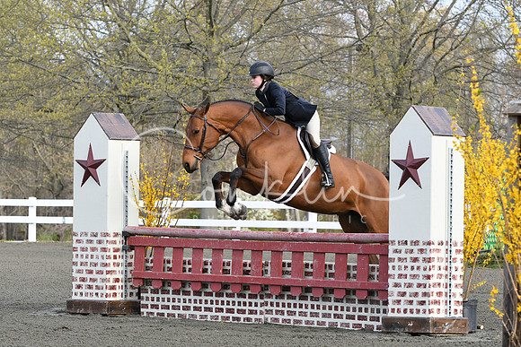 HSM_1769