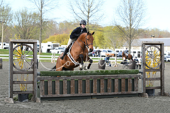 HSM_1771