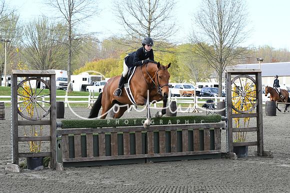 HSM_1831