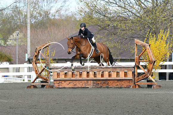 HSM_1833