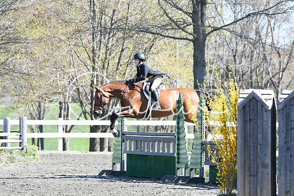 HSM_4603