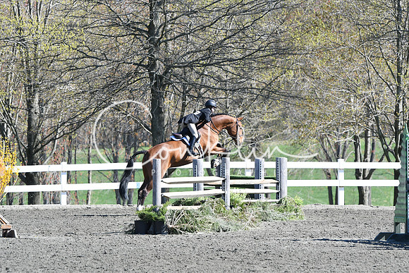 HSM_4605