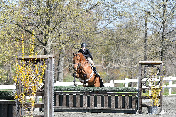 HSM_4607