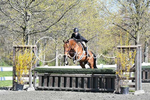 HSM_4608