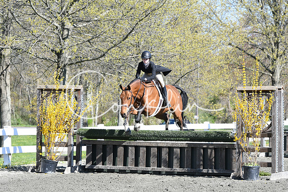 HSM_4609