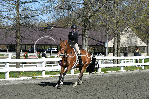 HSM_4610